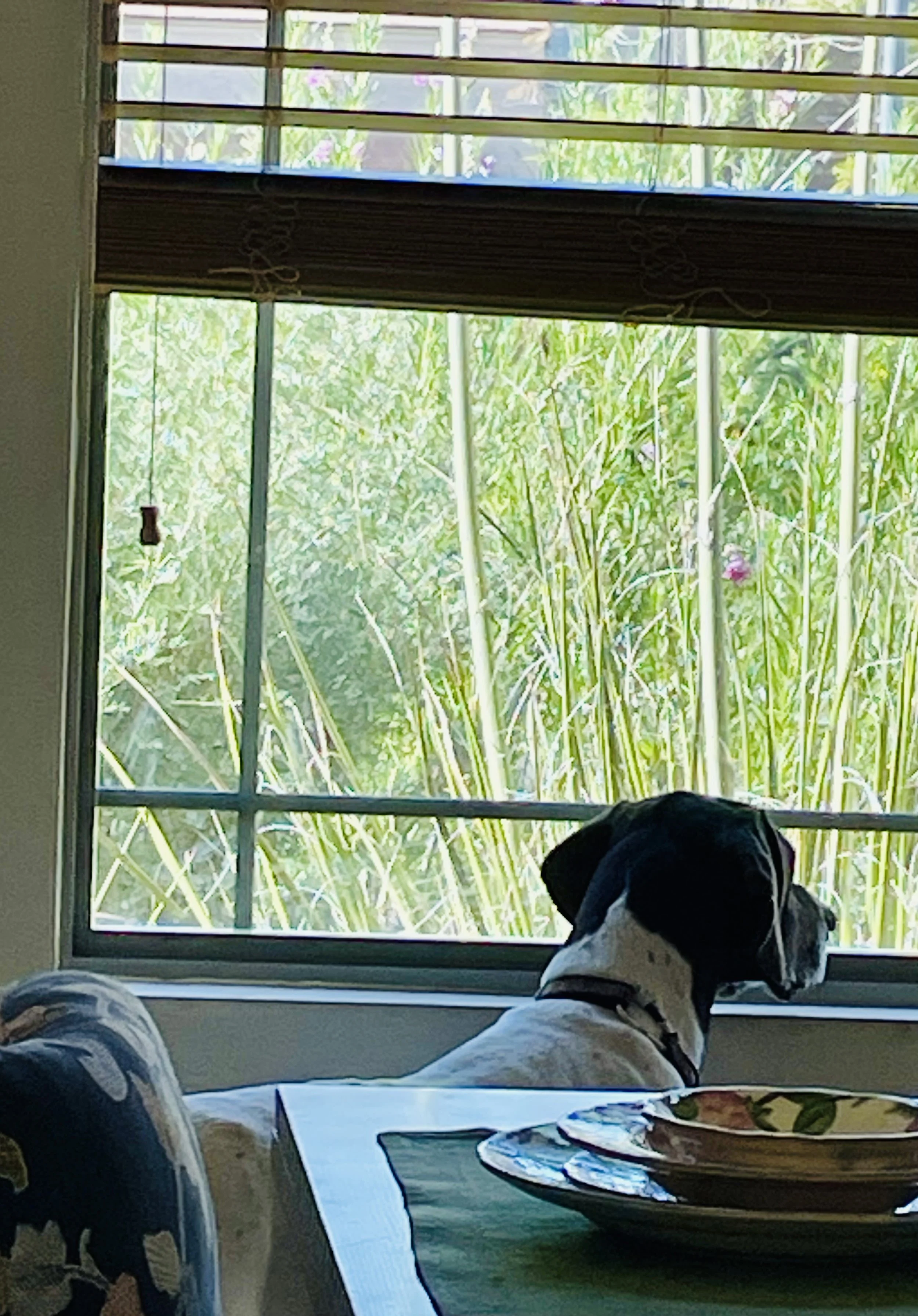 image1 (38) (1).jpeg