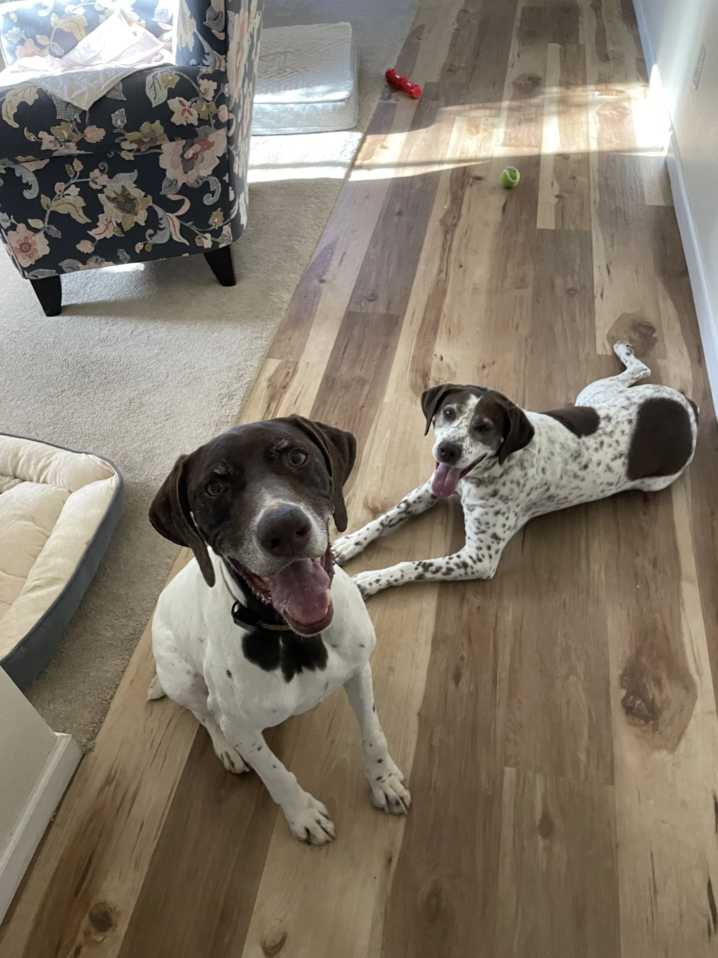 image1 (37) (1).jpeg