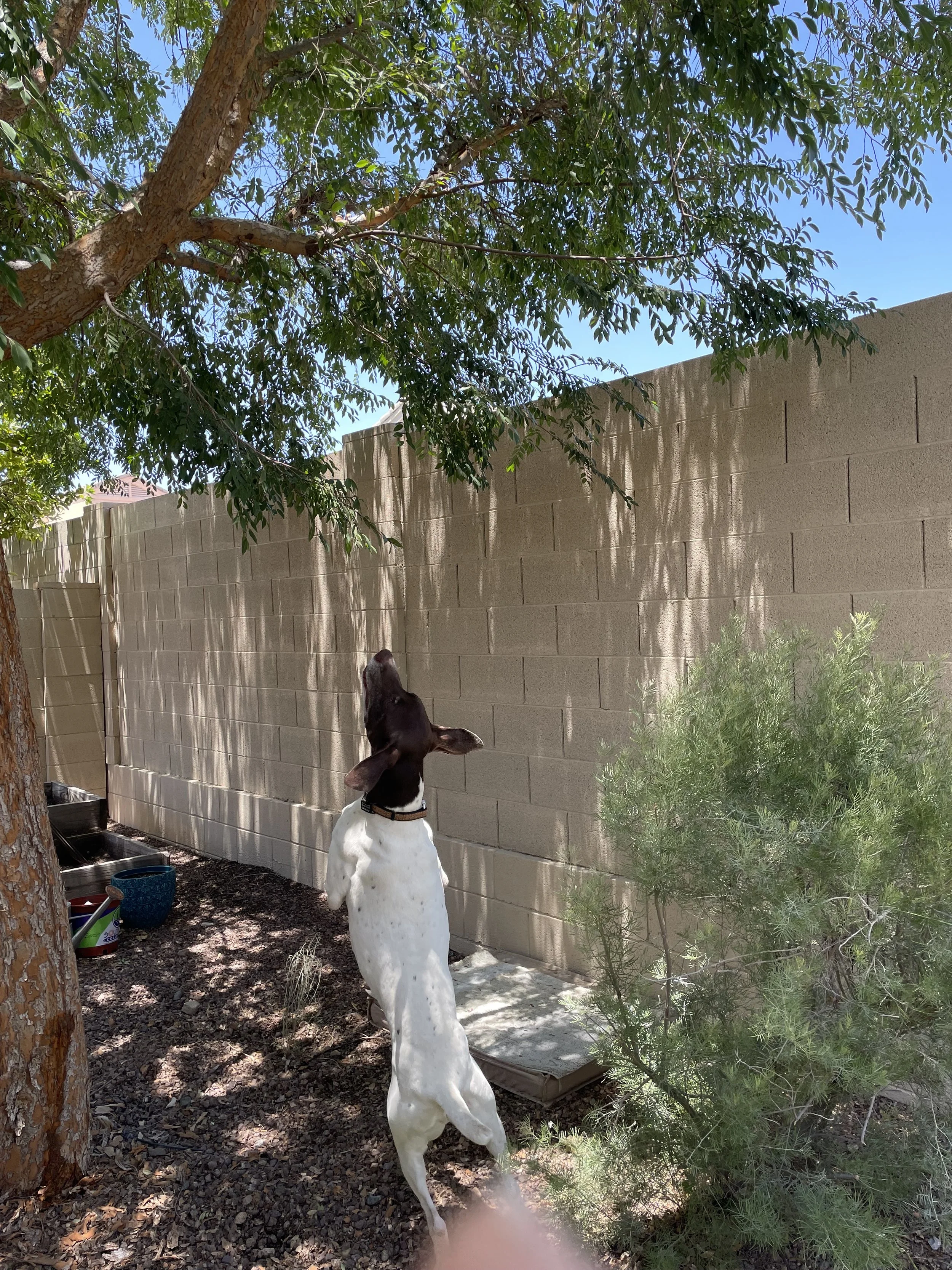 image0 (38) (1).jpeg