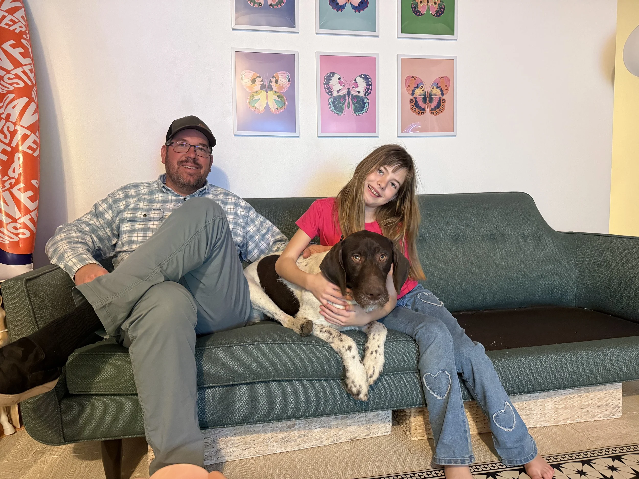 Rex Is Adopted! — California GSP Rescue