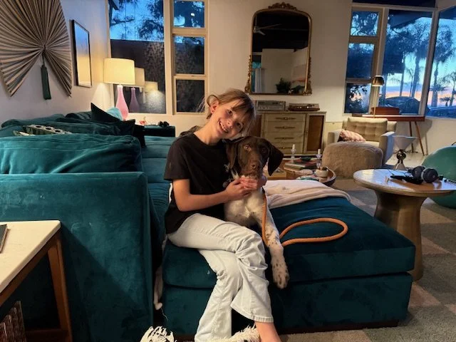 Rex Is Adopted! — California GSP Rescue