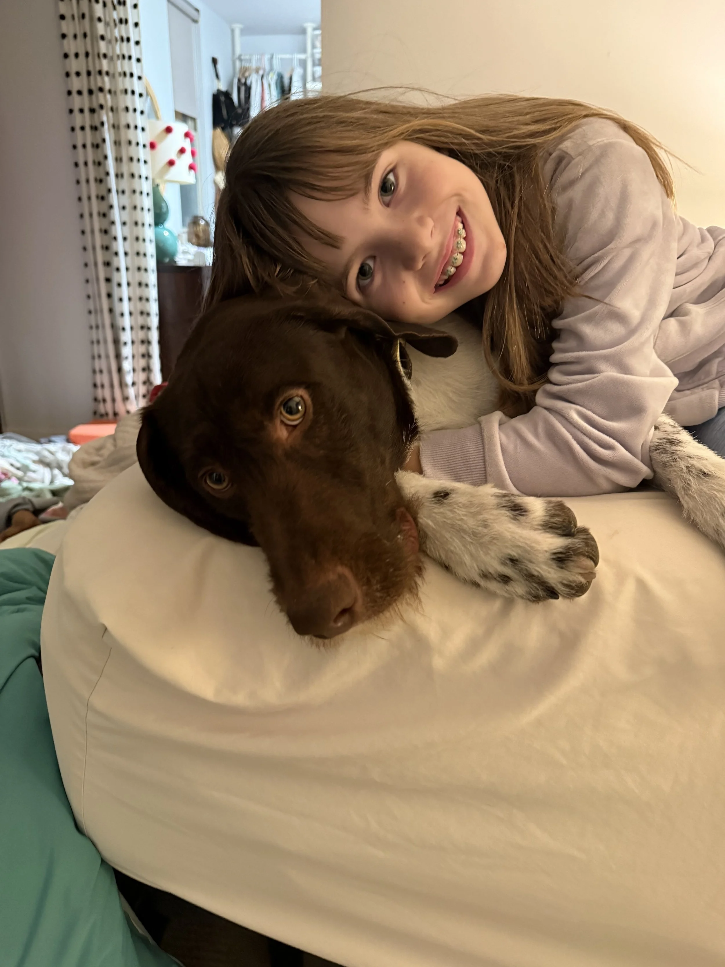 Rex Is Adopted! — California GSP Rescue