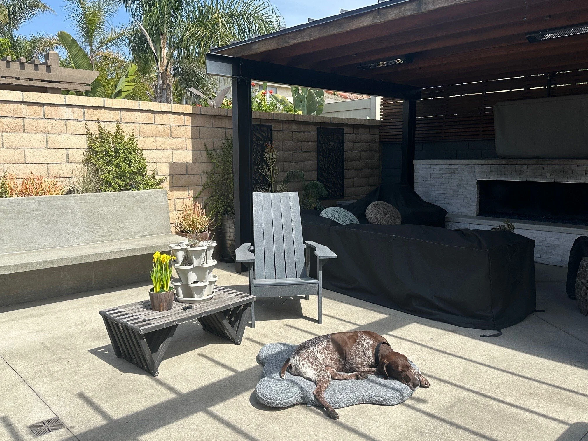 Zara Sleeping in the Sun (1).jpg