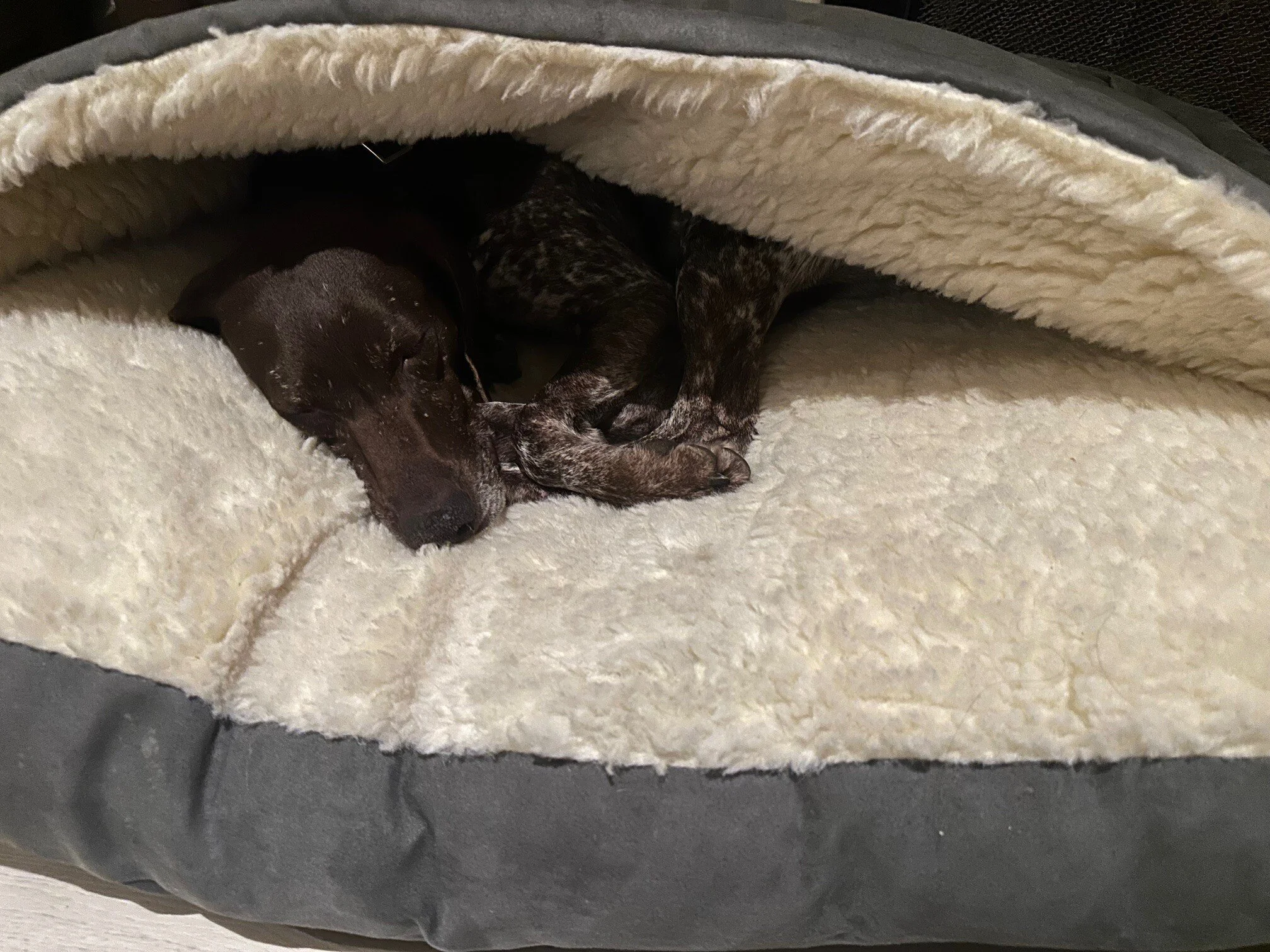 Zara Cave Bed1 (1).jpg