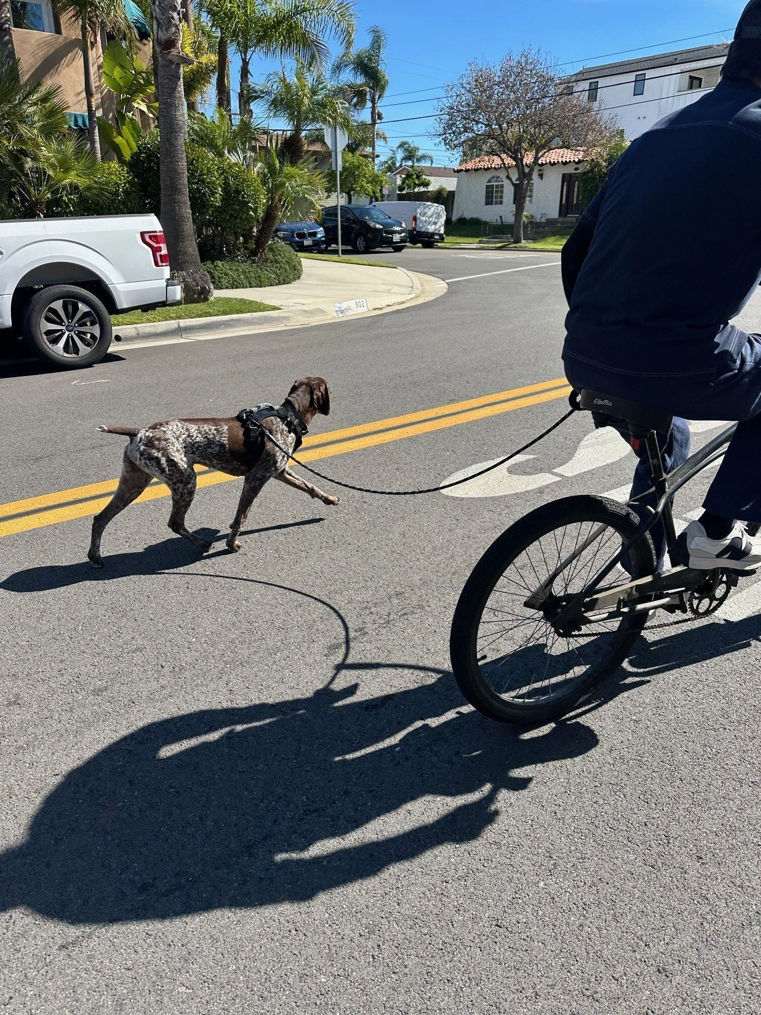 Zara Bike Ride (1).jpg