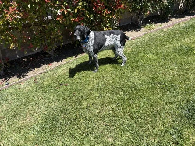 IMG_0178 (1).jpeg