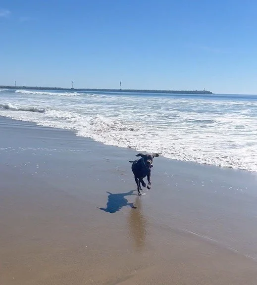 Bowa on the beach 1.jpeg