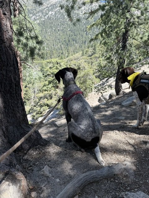 image5 (11) (1).jpeg