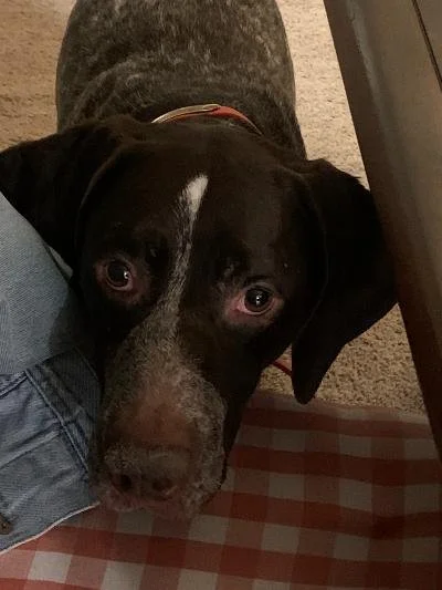 IMG_5649.JPG