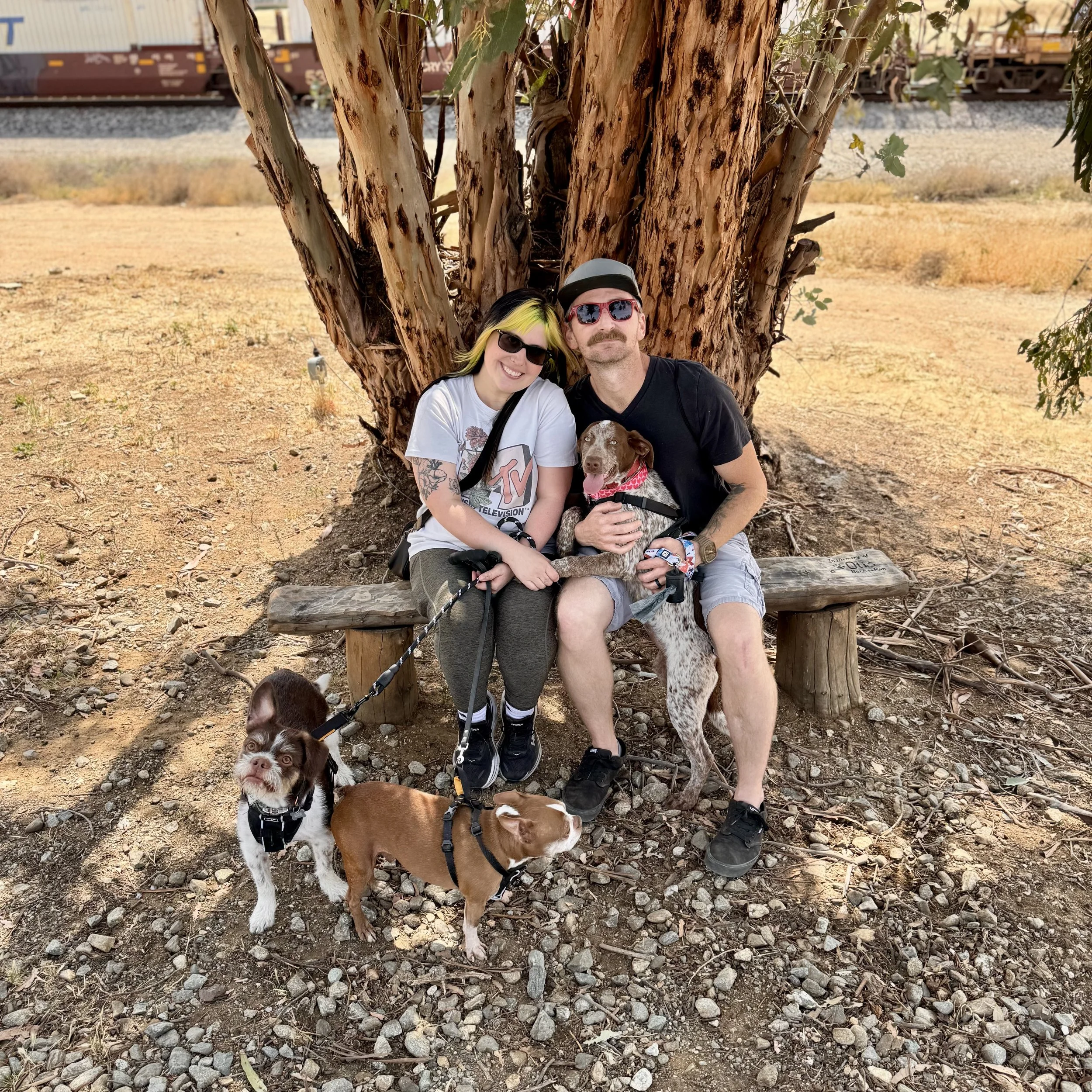 Rose Is Adopted!