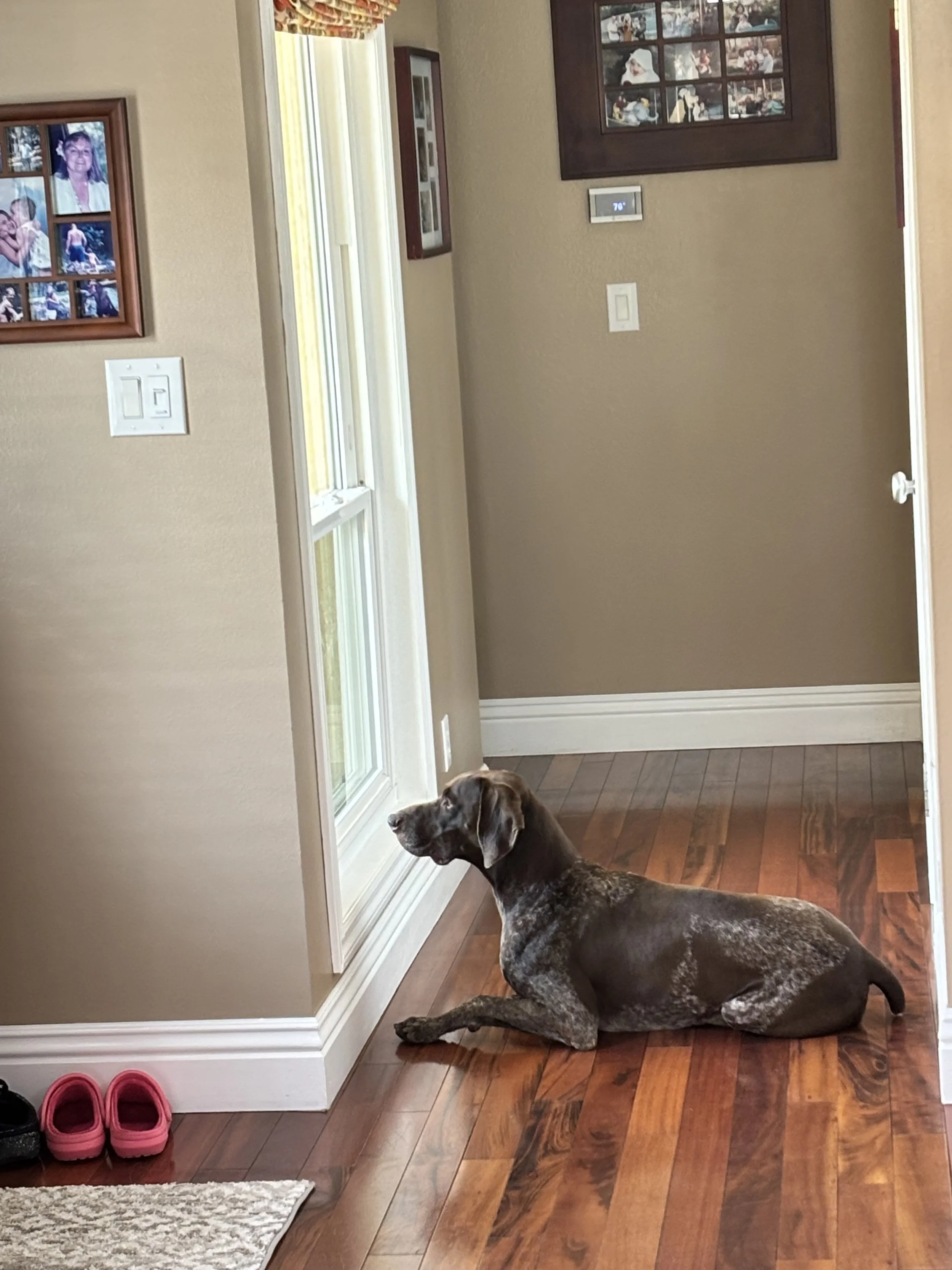 IMG_7586.jpeg