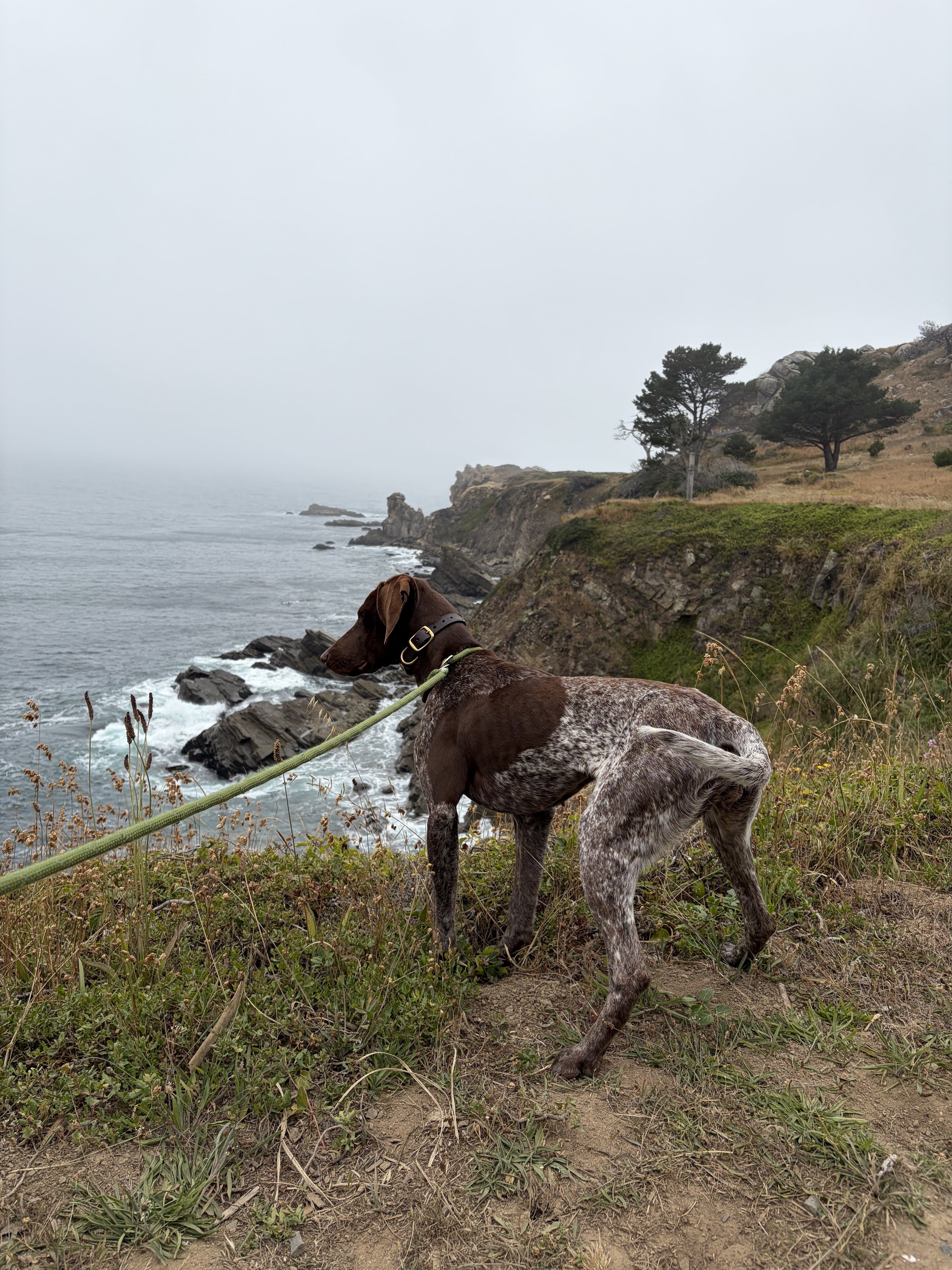 IMG_0661.jpeg