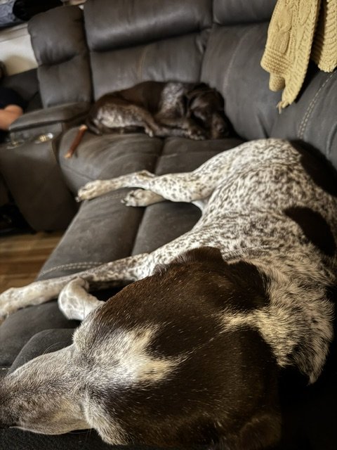 image1 (2) (1).jpeg