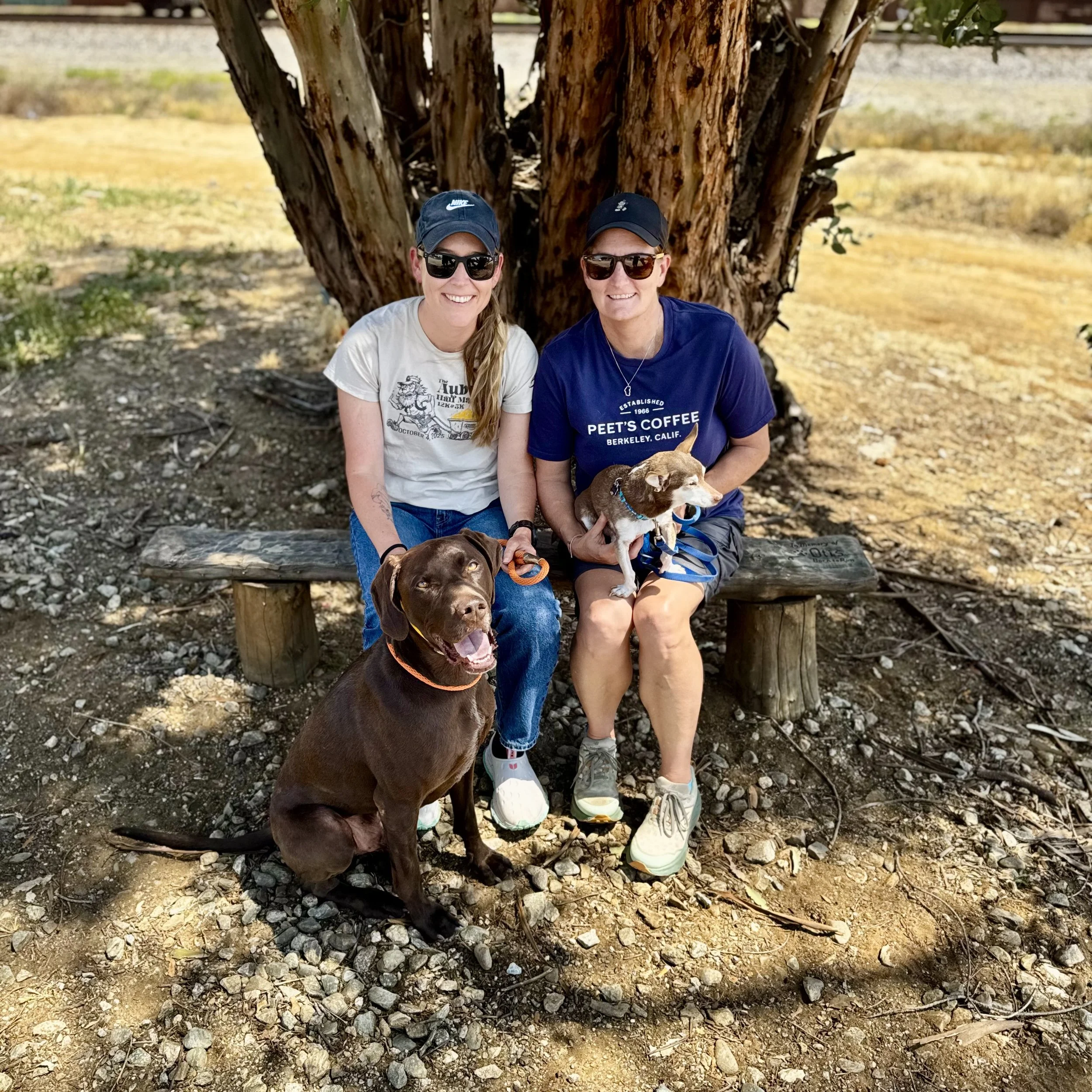 Bullwinkle Is Adopted!