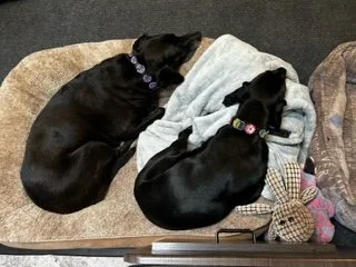 image0 (7).jpeg