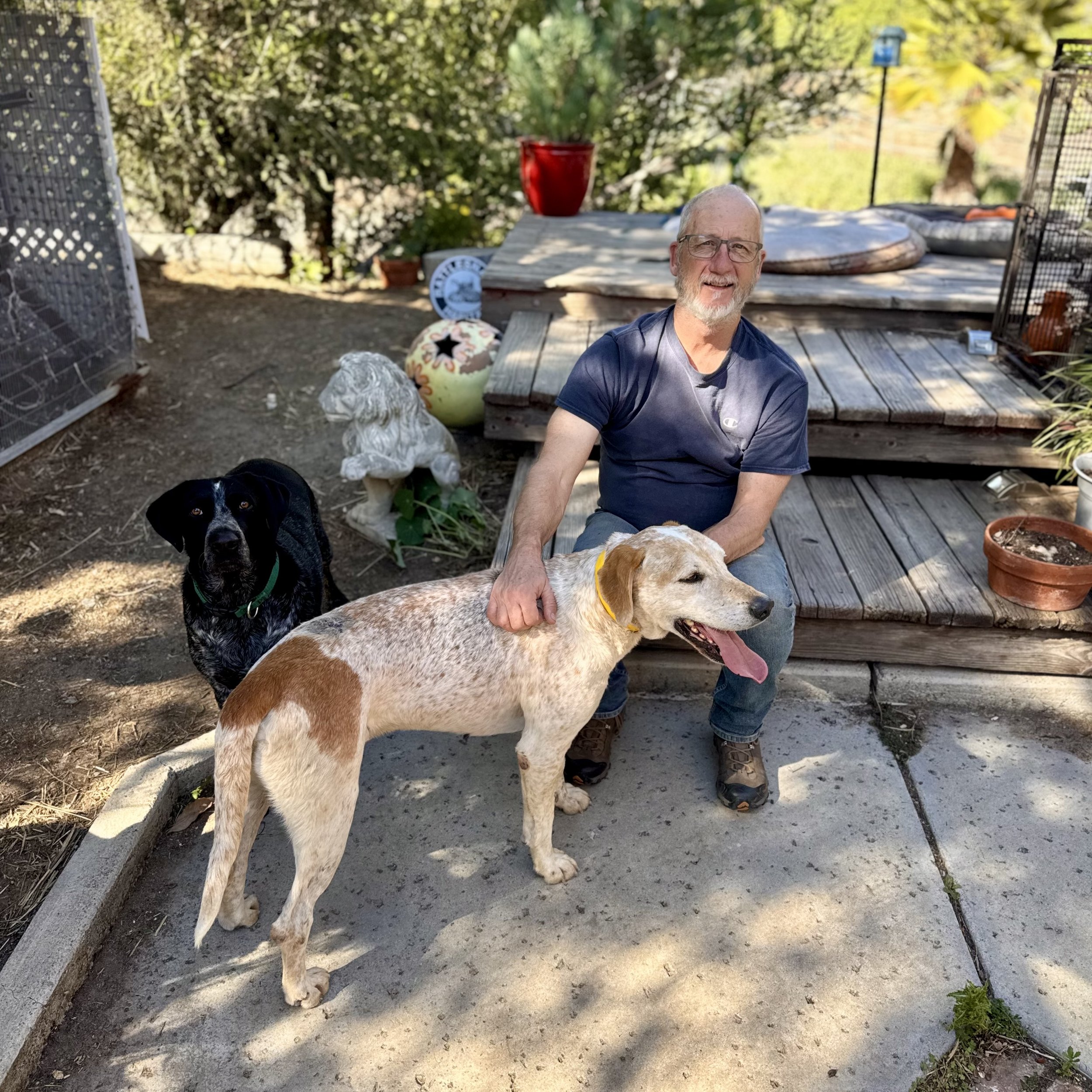 Hank Is Adopted!
