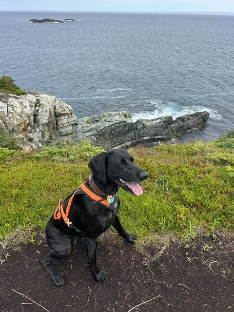 image6 (3).jpeg
