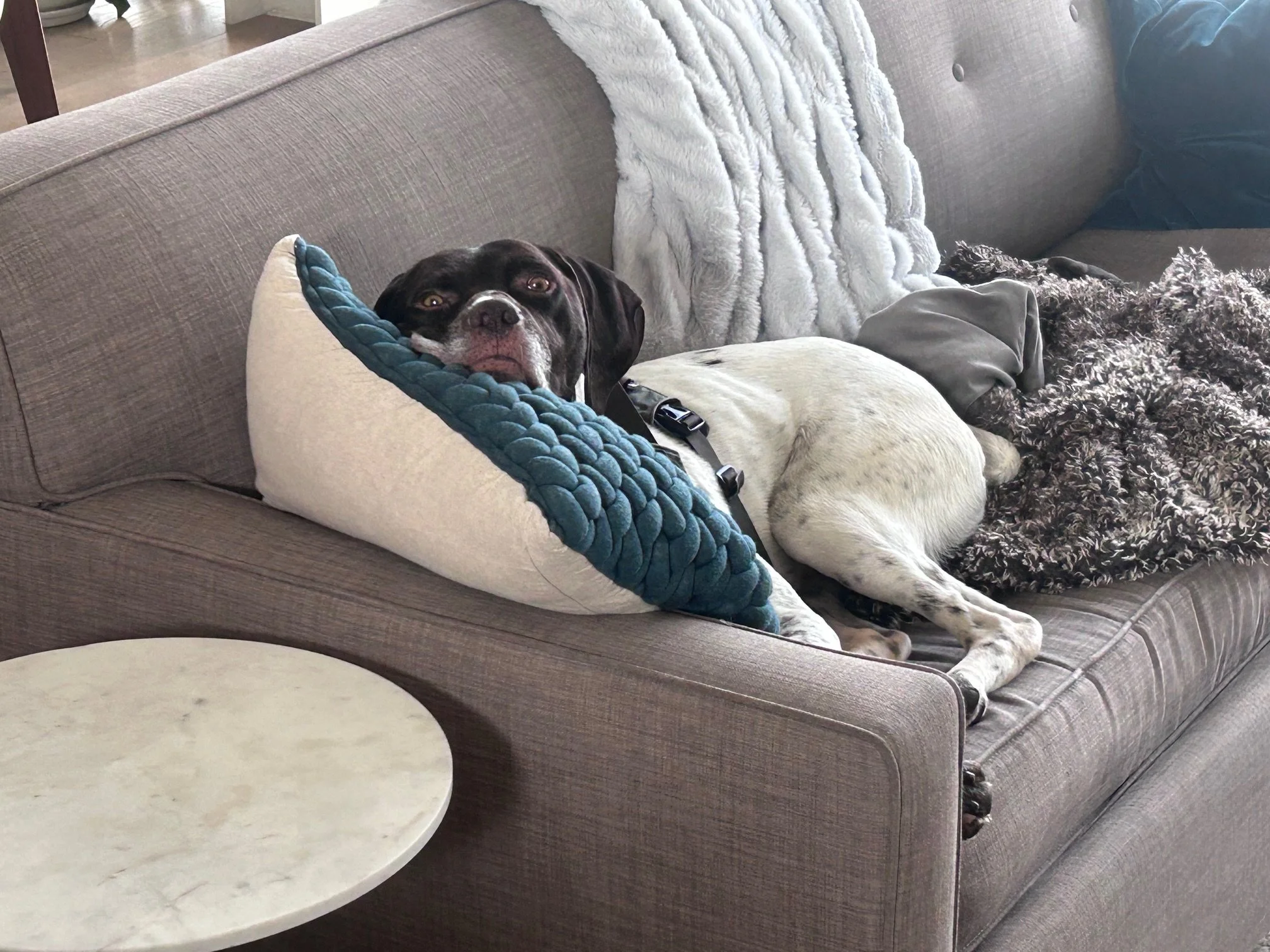 image3 (22).jpeg