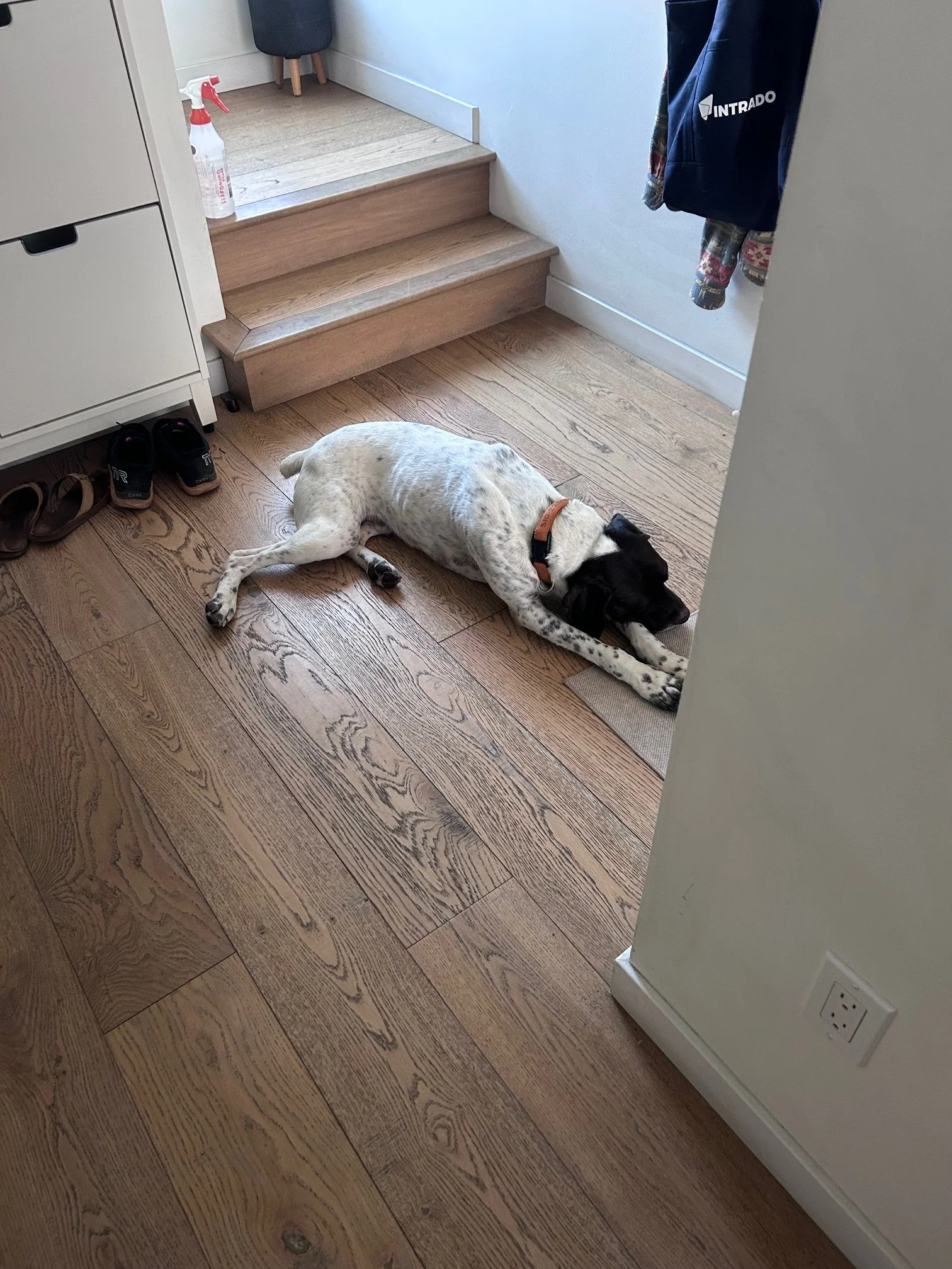 image2 (28).jpeg