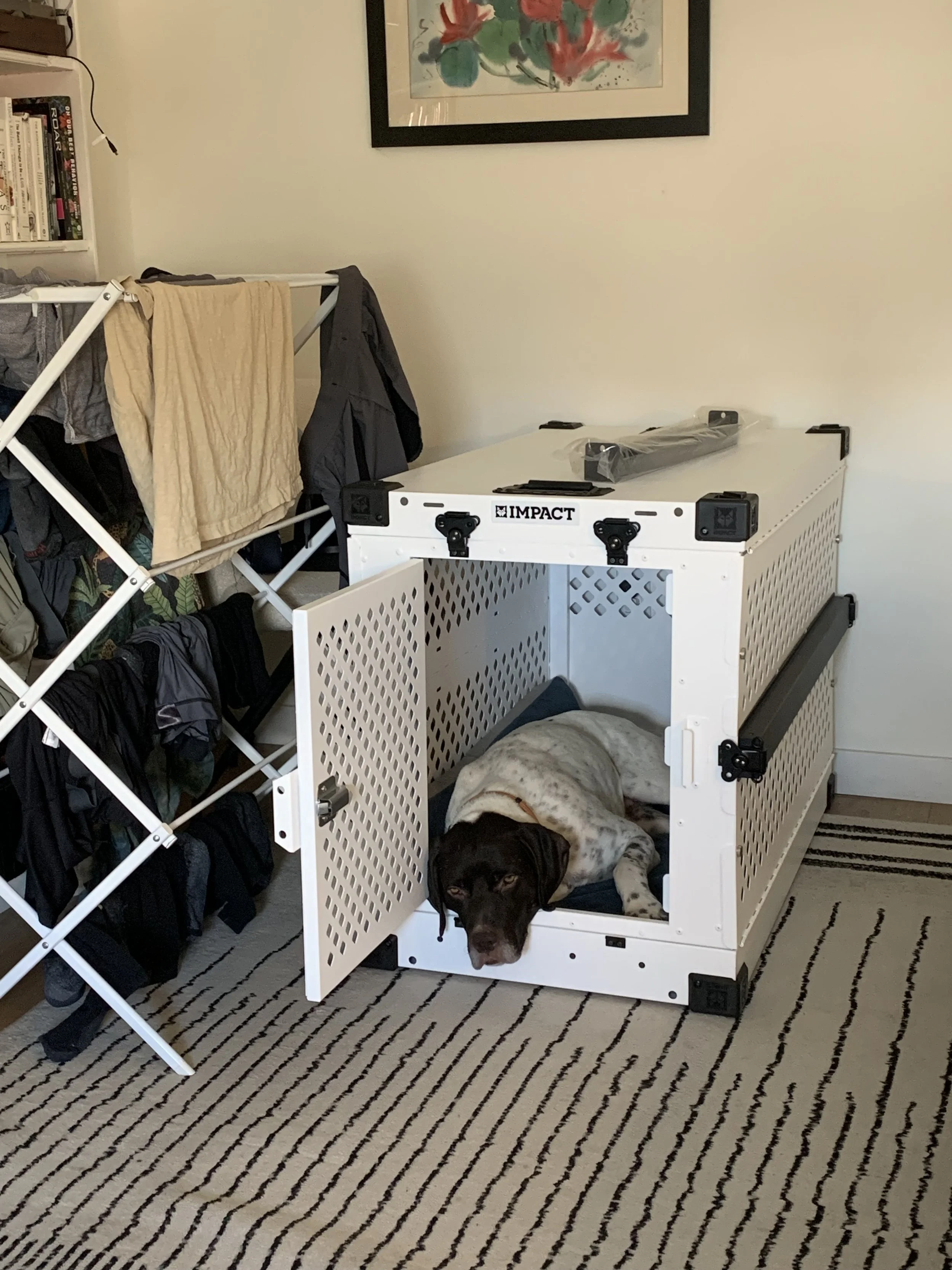 image1 (43).jpeg