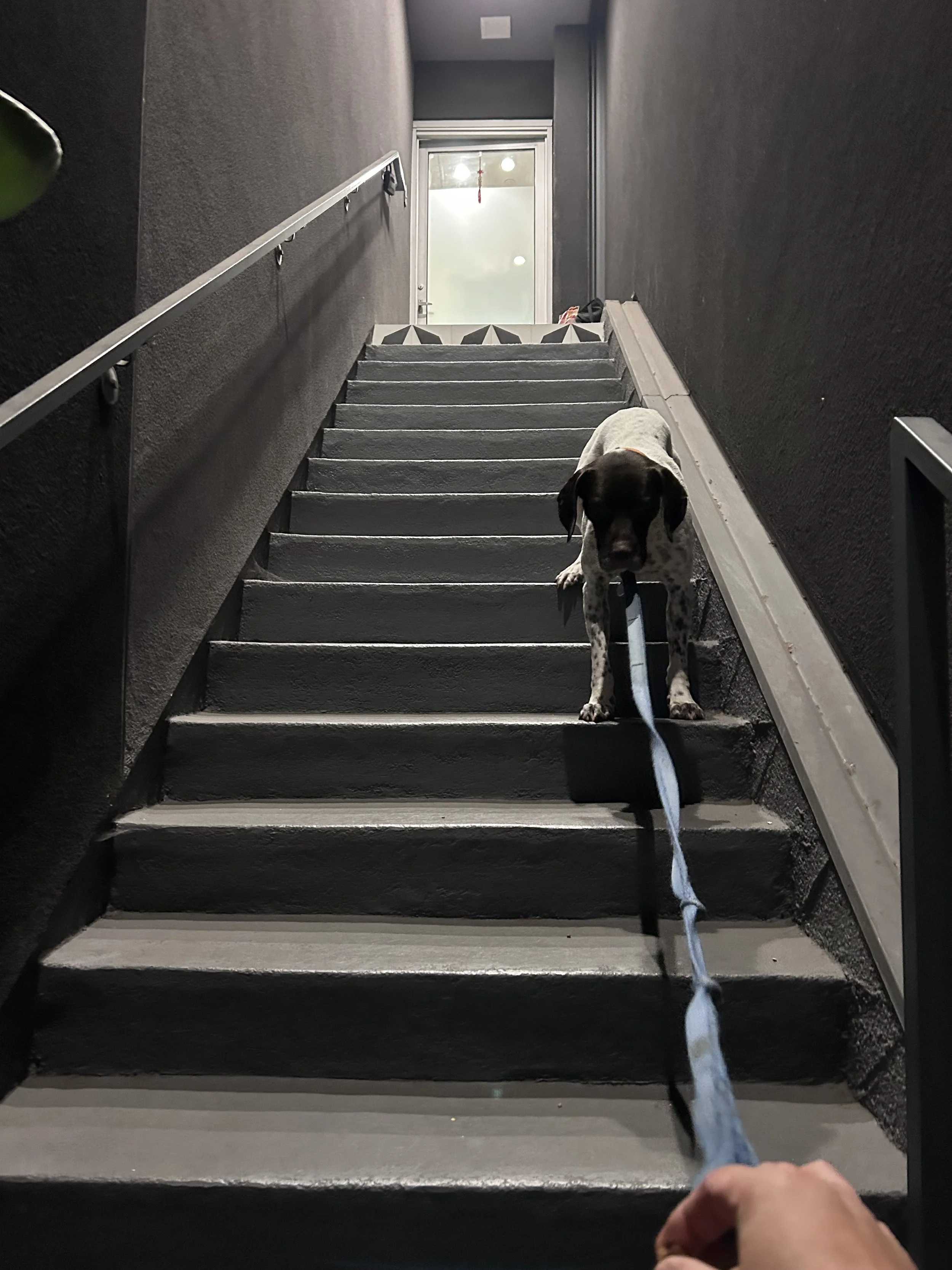 image1 (42).jpeg