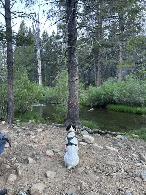 image3 (6).jpeg