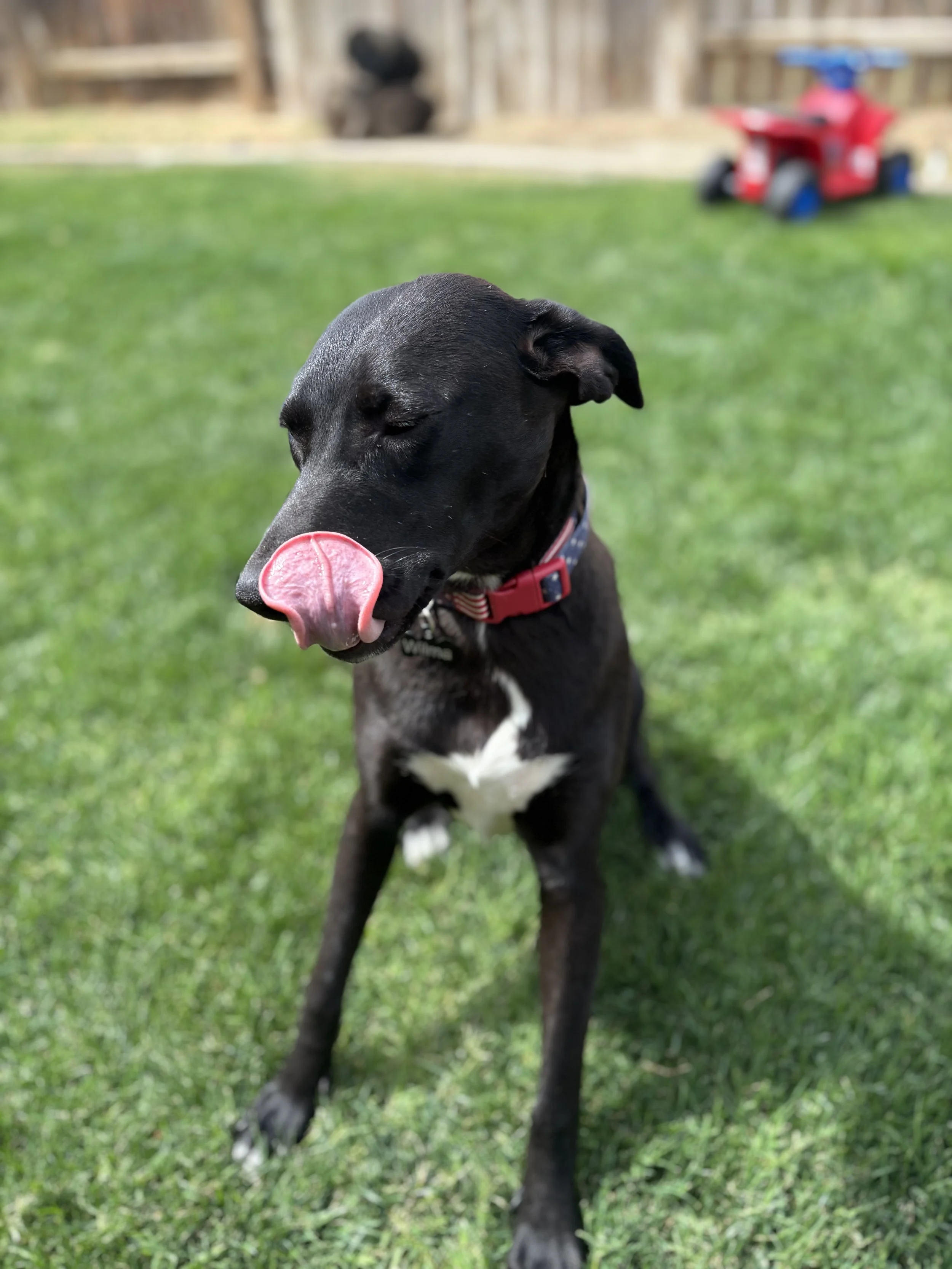 IMG_8903.jpeg