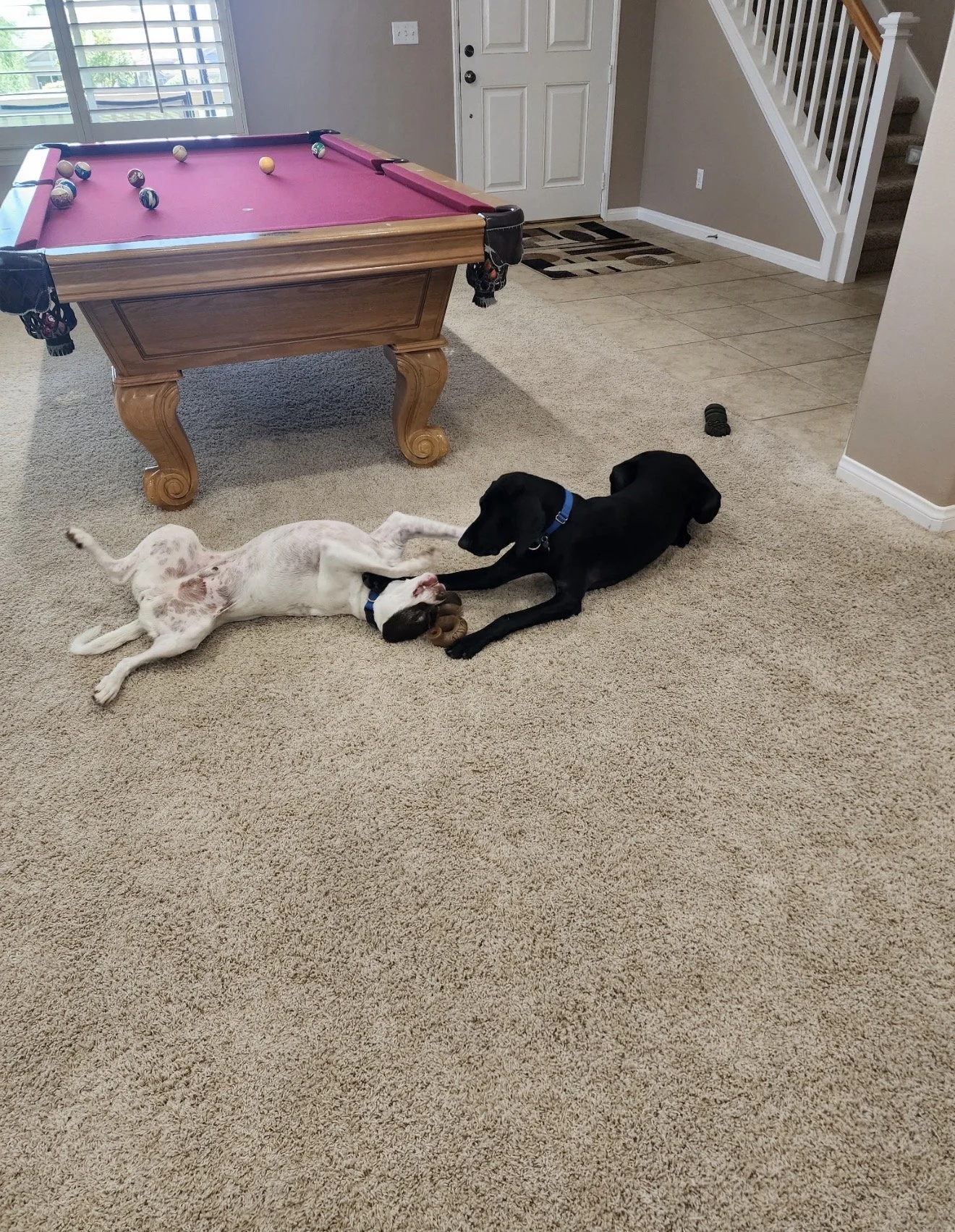 IMG_3308.jpeg