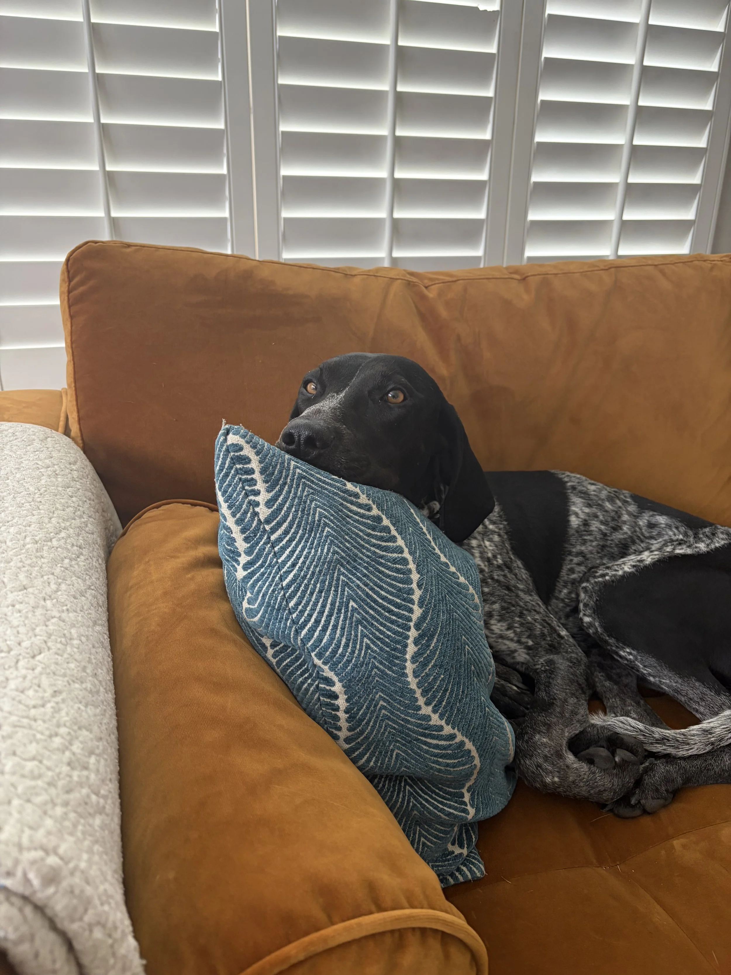 IMG_0442.jpeg