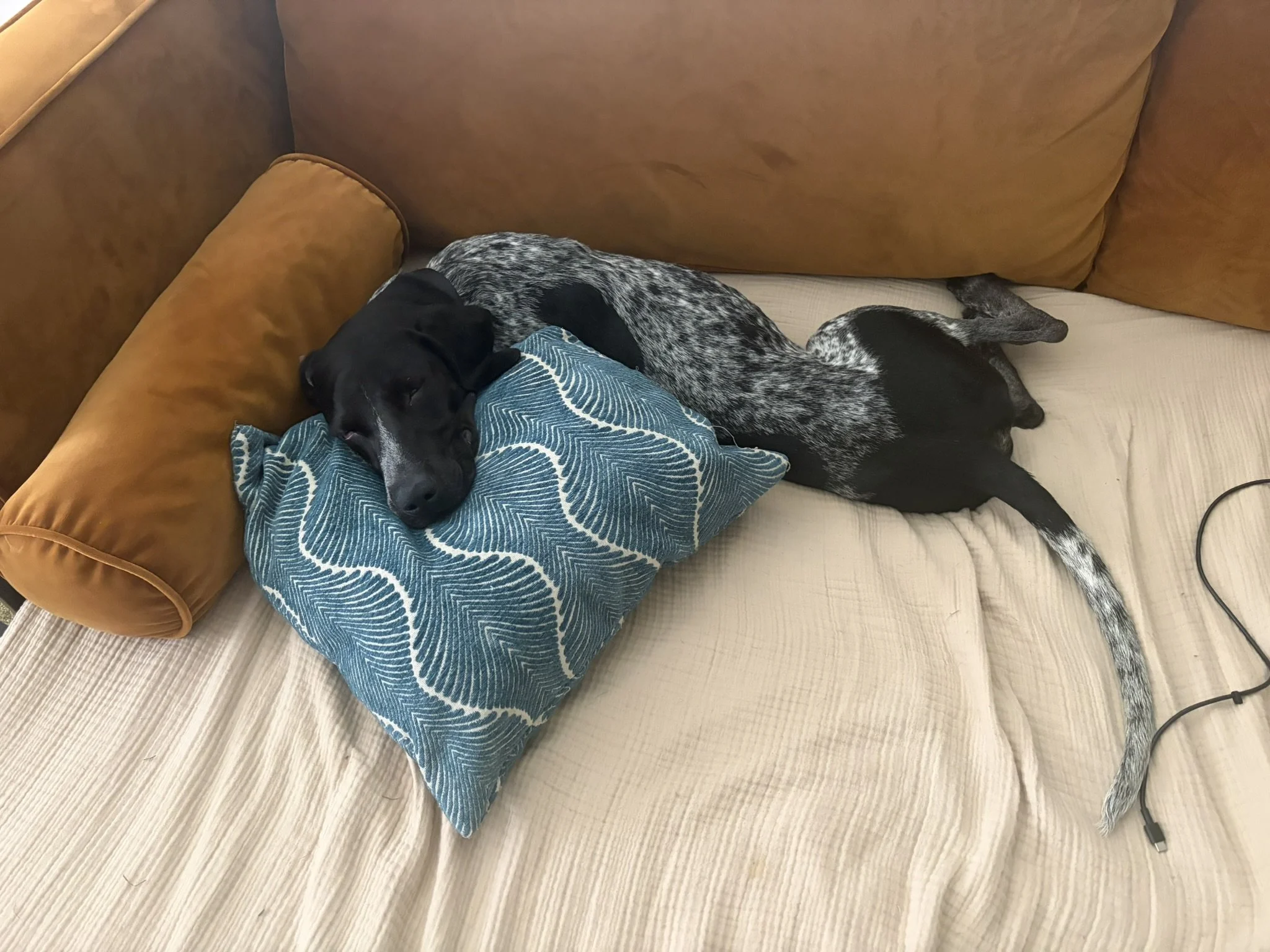 IMG_0497.JPEG