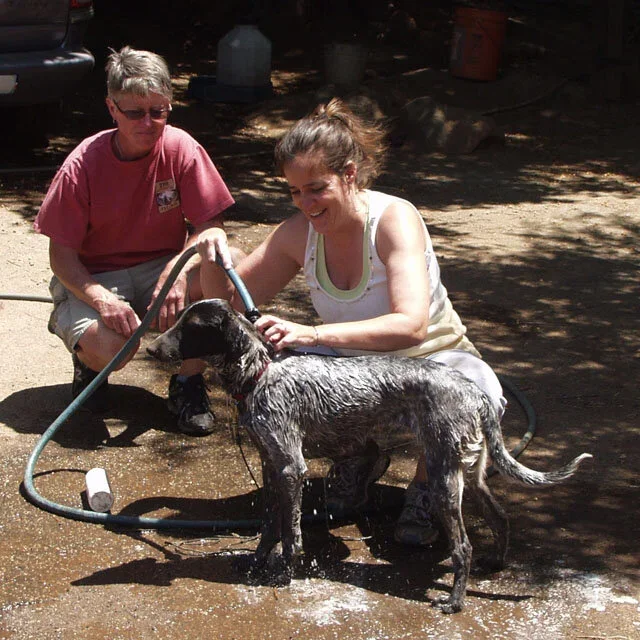 Shasta_Lisa_Cathy_P5049166w64.webp