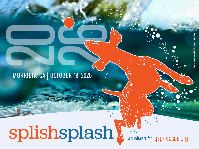 Splish Splash 2026 - Premium Ticket