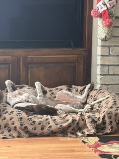 IMG_0318.jpeg