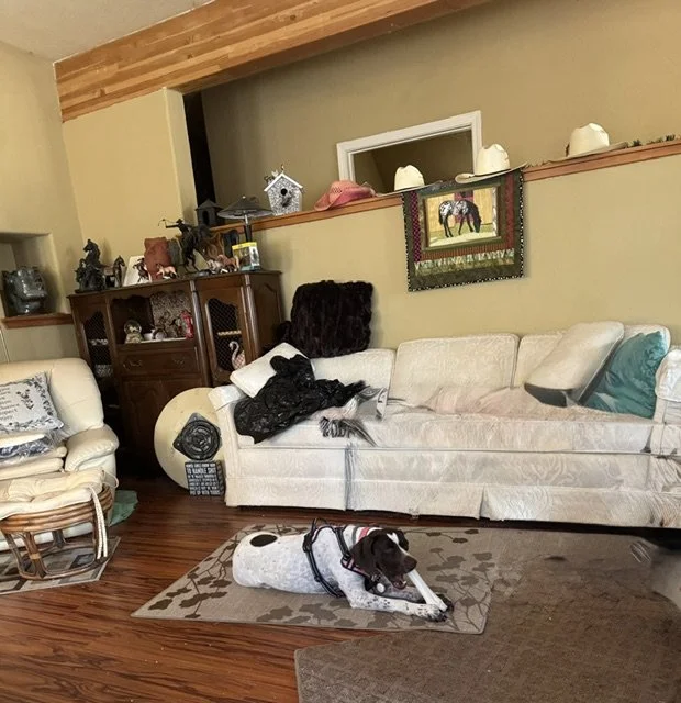 image6 (6).jpeg
