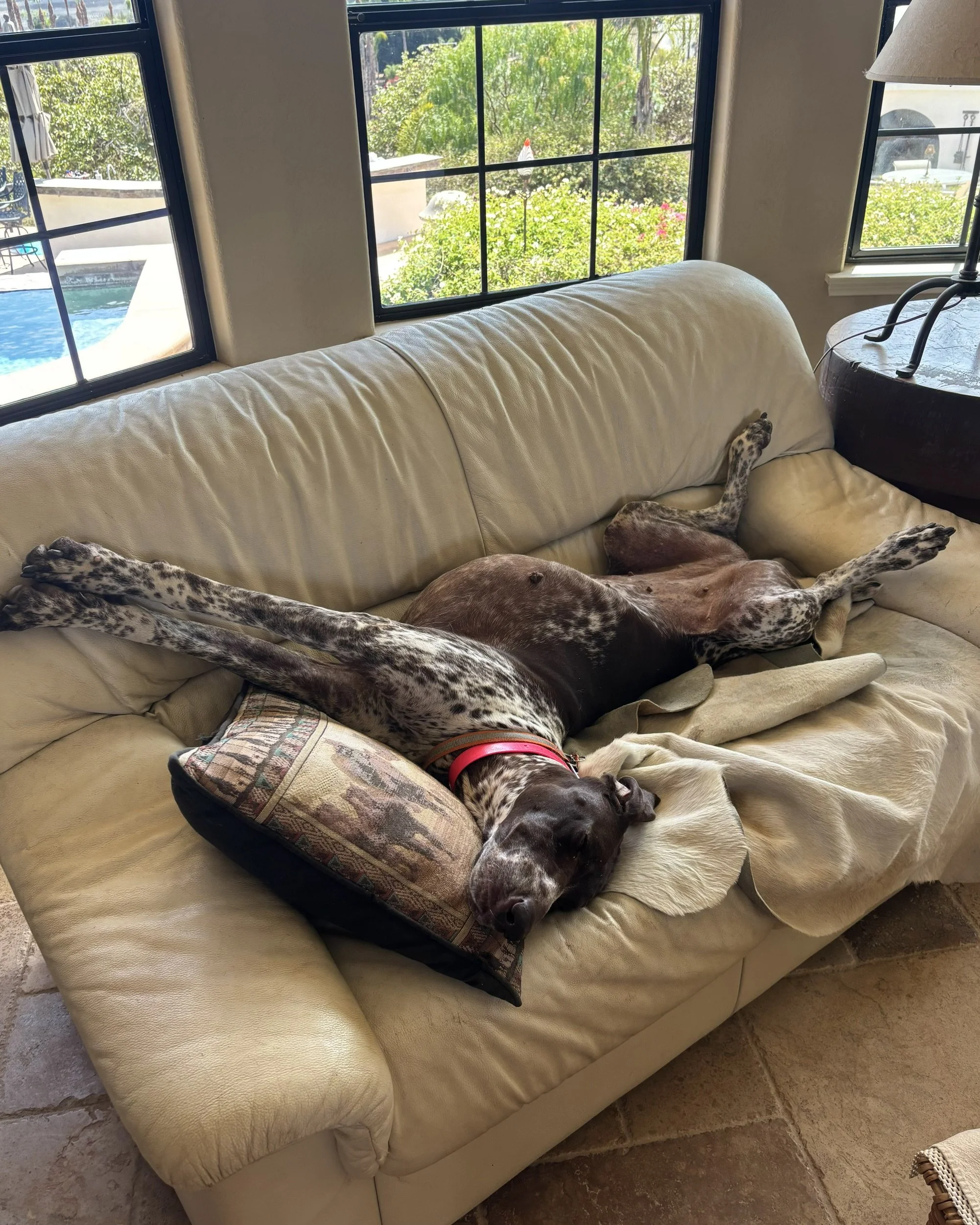 IMG_1122.jpeg