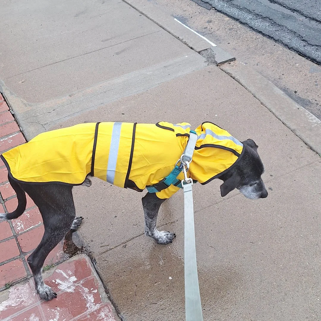 Hoodie_20260218_071311 w108 FB.jpg