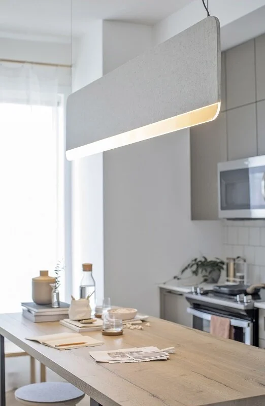 ANDlight_Slab_LMelling_ResidentialHomeHawthorne_JanisNicolay.jpg