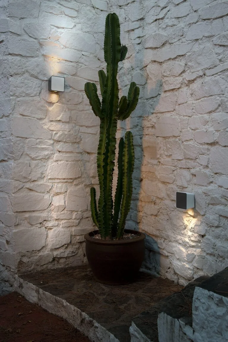 Marset-Lampara-Lab-Cactus-768x1151.jpg