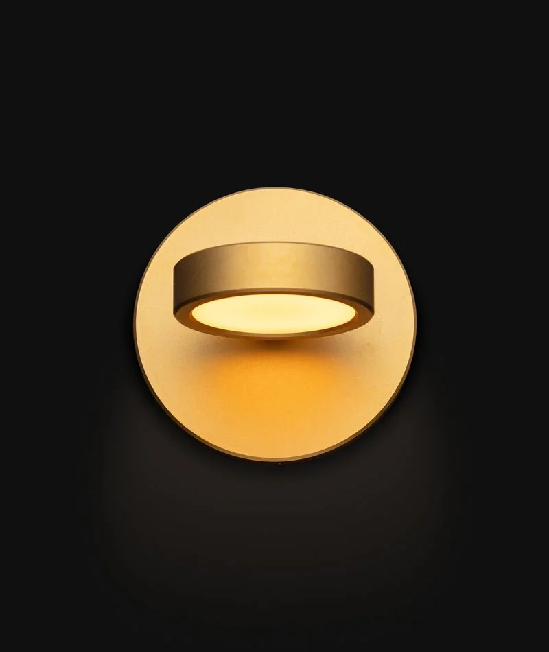 DiscusMini-Gold1_800x950_crop_center.jpg