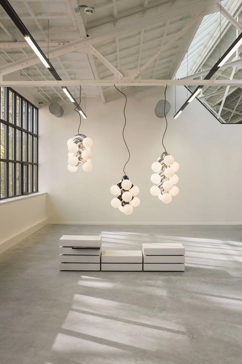 AND-Website-Vine-P-DDW.jpg