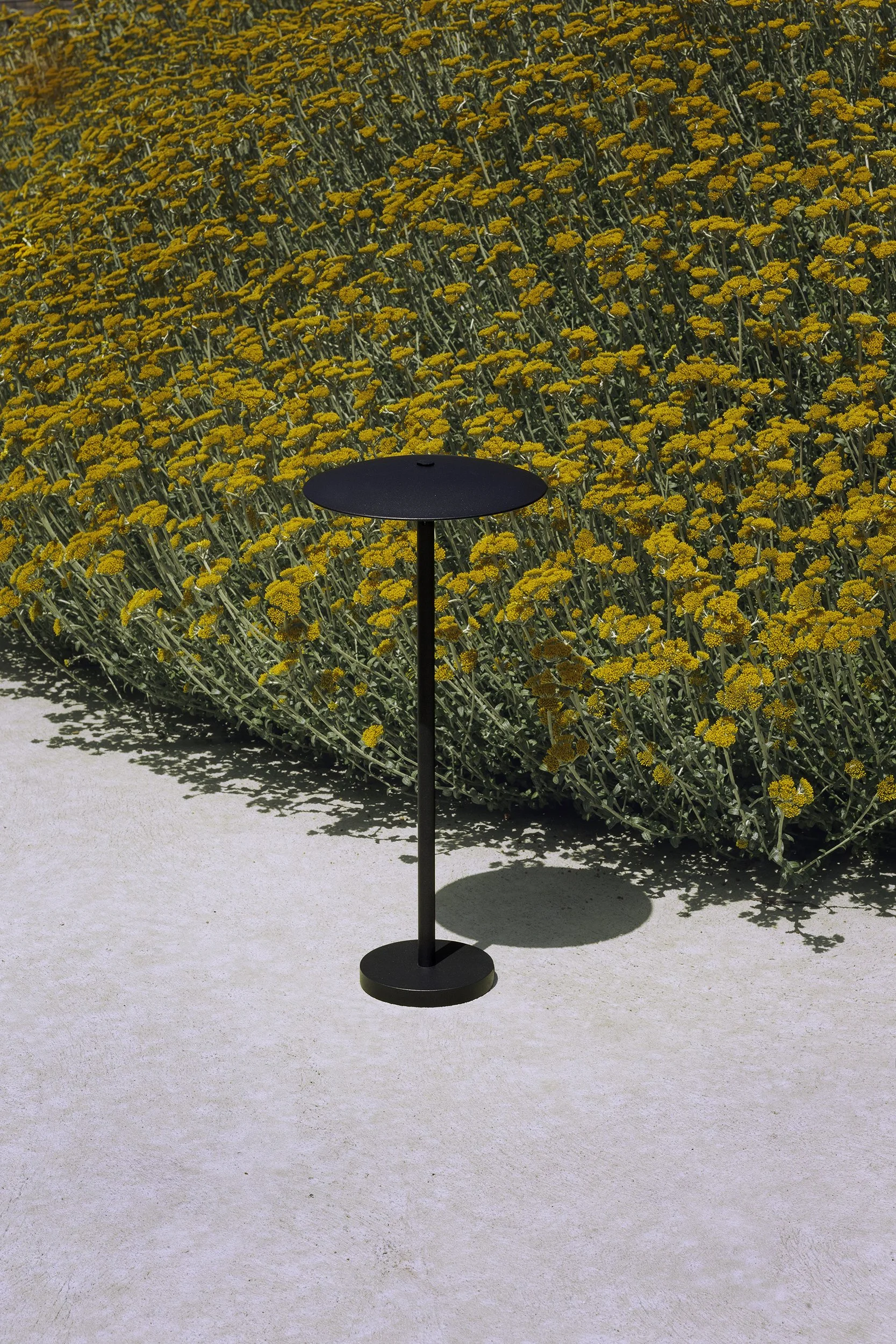 marset_lr_ginger-b-44-ip65-grey-graphite-with-yellow-flowers.jpg