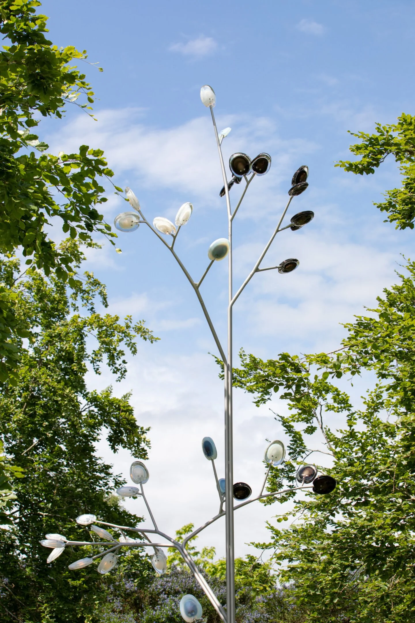 23.2_16Tree_FahimK_2357.jpg