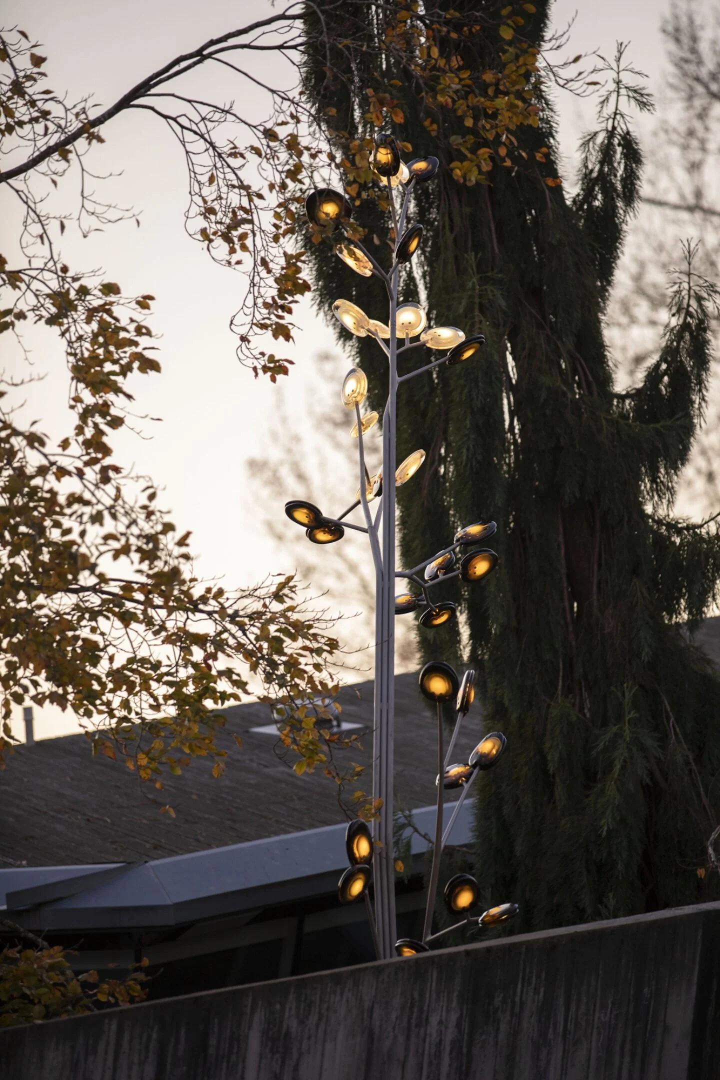 23.2_16Tree_FahimK_6012.jpg