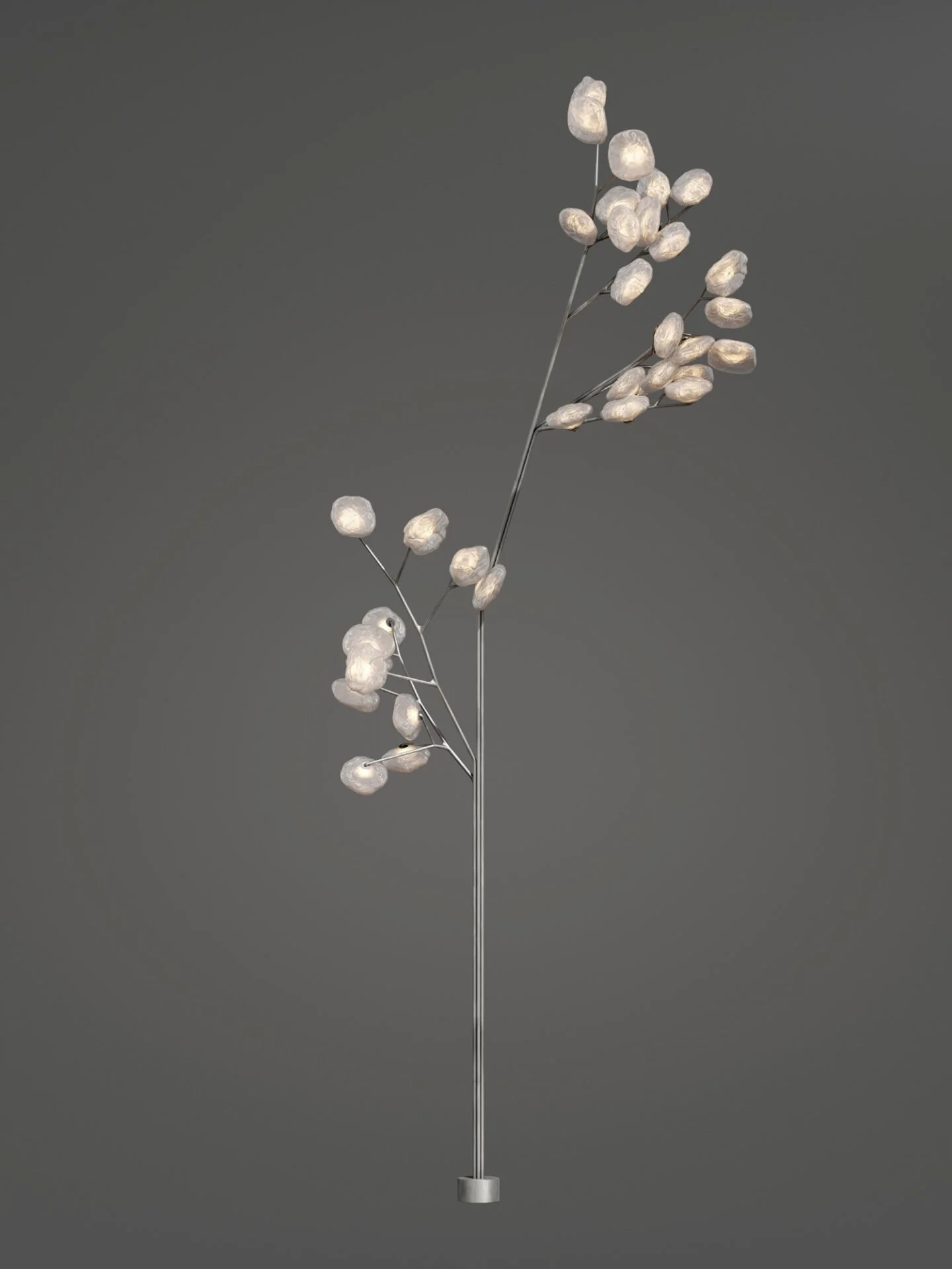 73.35-Tree-Clear-Dark.jpg