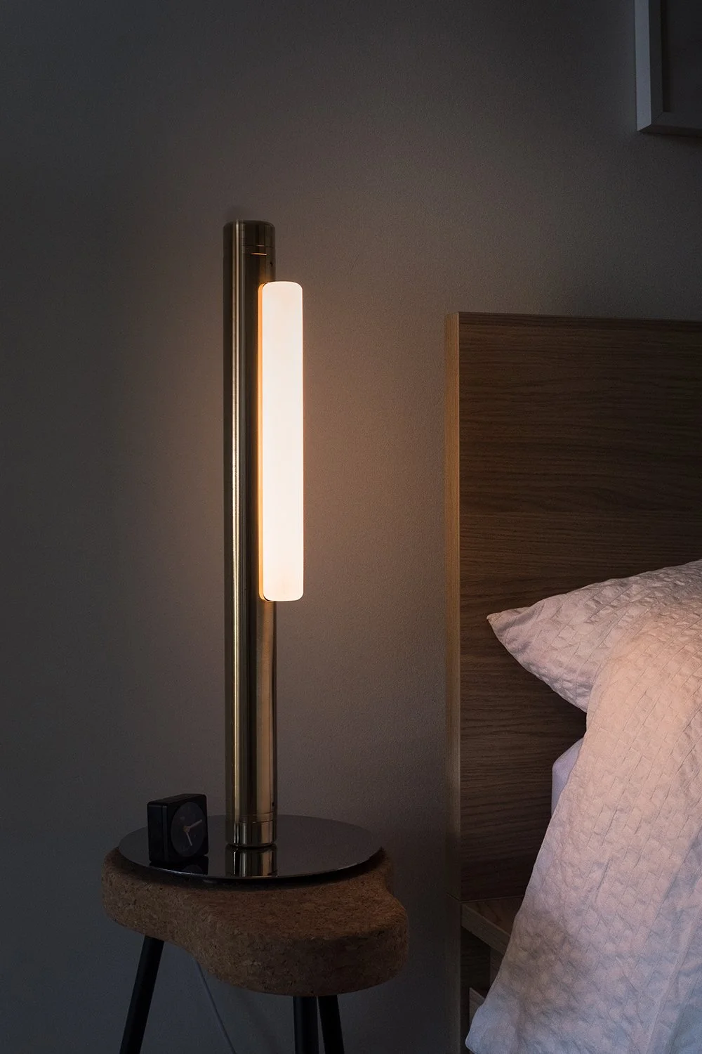 AND-PIP-TF-inSitu-1.jpg