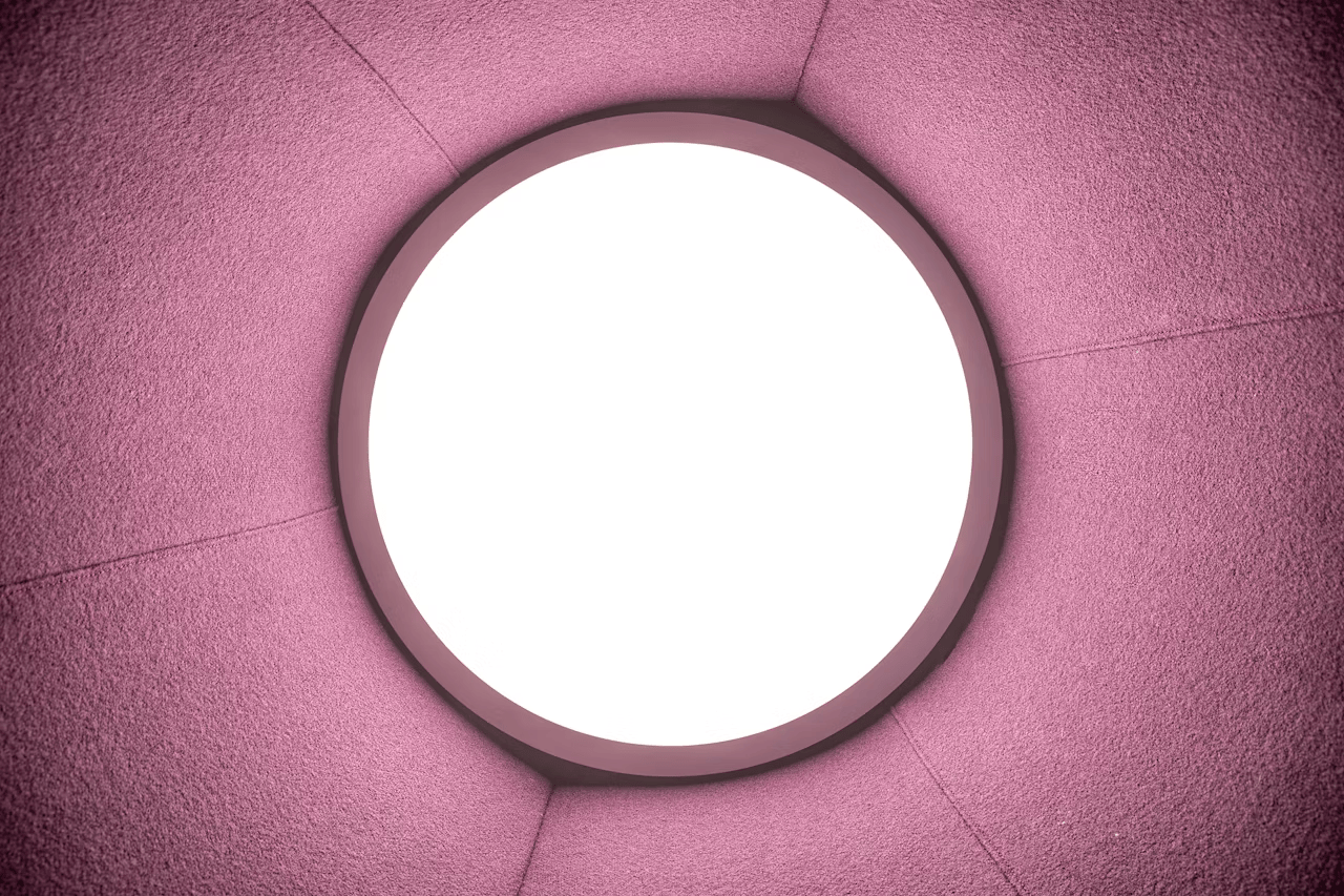 1691400969-buzziburner_272.png