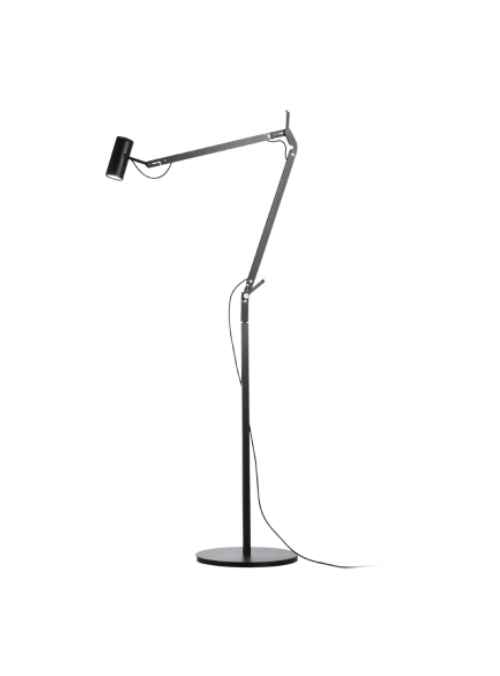 Polo+Lamp.png