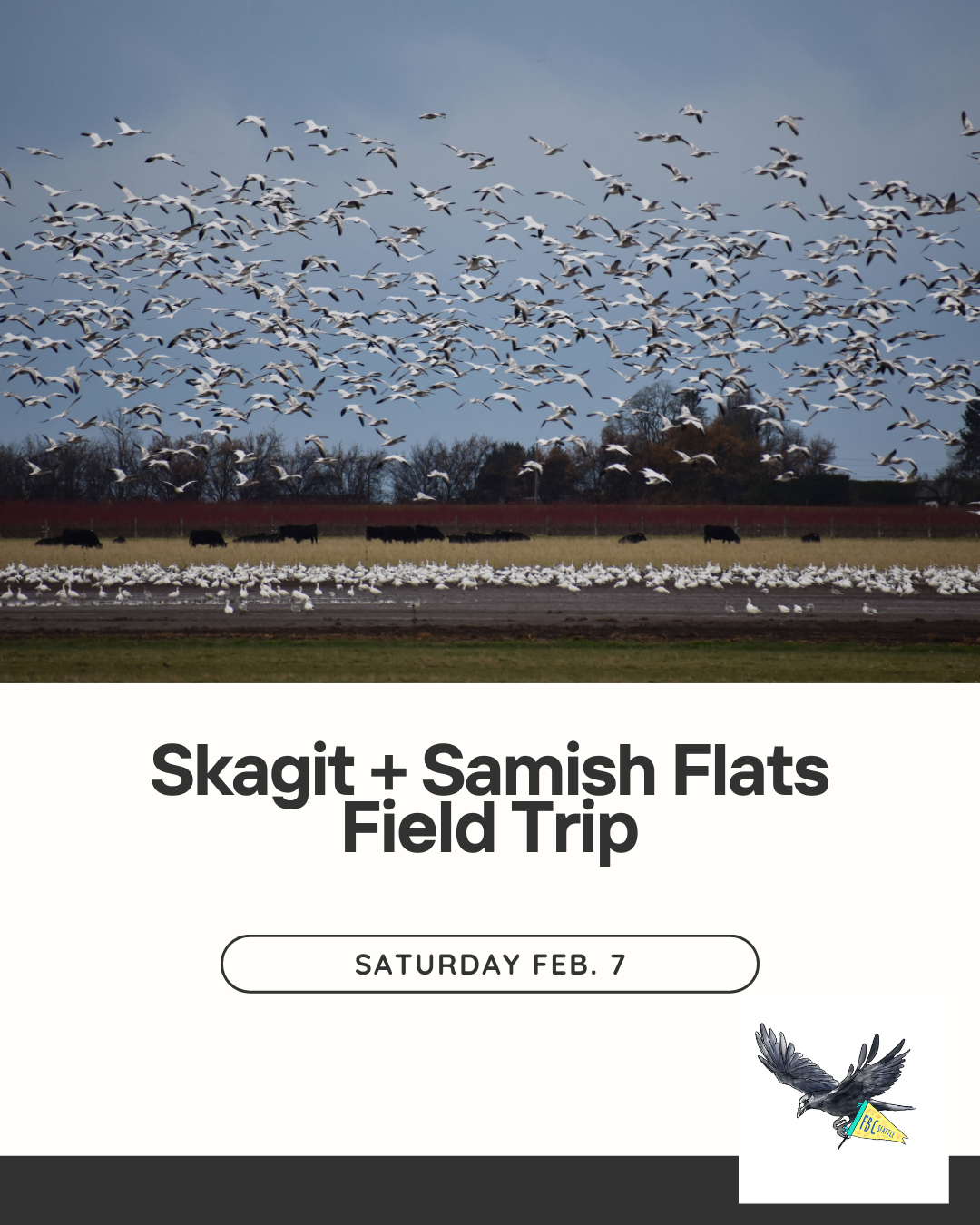 FBC Seattle Skagit & Samish Flats Field Trip