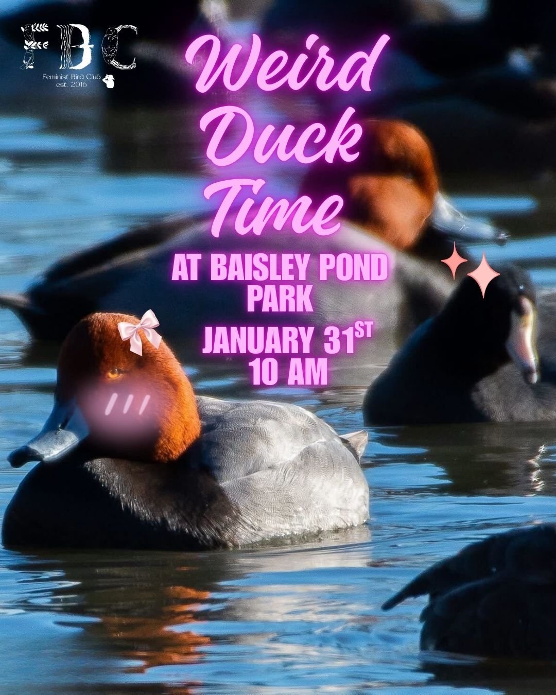 NYC - Weird Duck Time