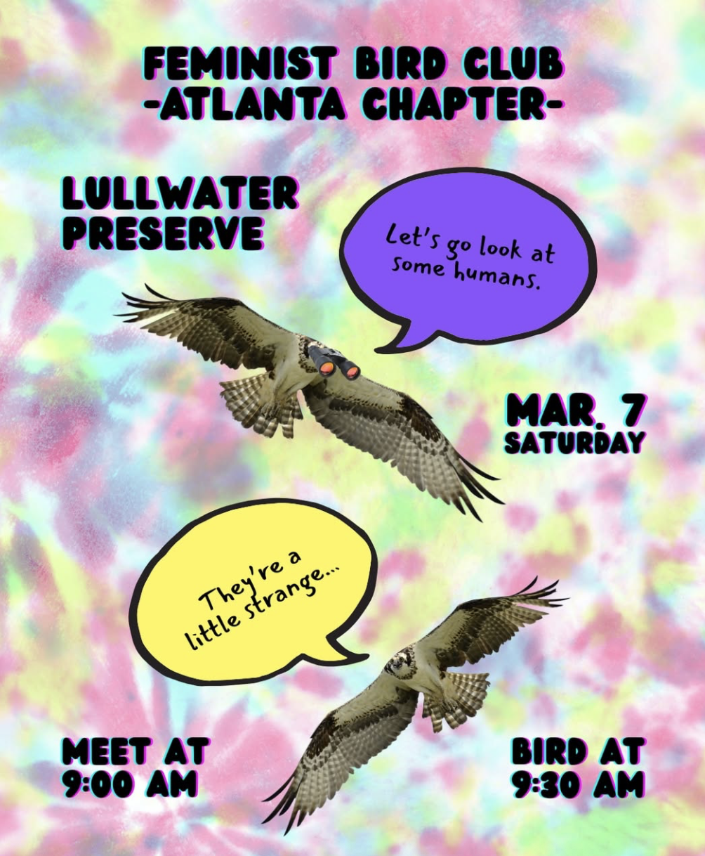 FBC Atlanta - March Birding at Lullwater Preserve